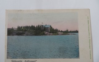 Sääksmäki 1906