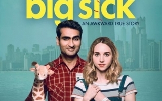 The Big Sick  -   (Blu-ray)