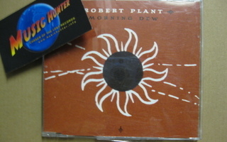 ROBERT PLANT - MORNING DEW PROMO CDS