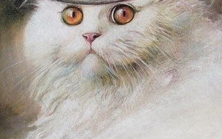 Nikita Potokin: Valkoinen kissa