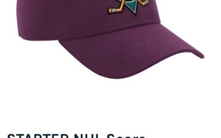 Anaheim Ducks - Starter: NHL score snapback, lippis