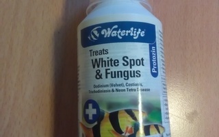 Treats White Spot & Fungus