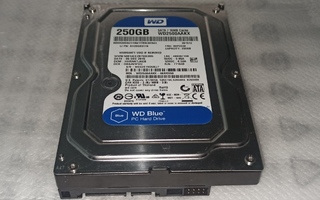 250GB 3.5" SATA Serial-ATA kovalevy pöytäkoneisiin