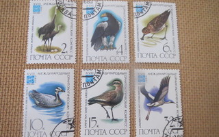 CCCP 1982: 18. kansainvälinen ornitologikongressi
