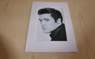 Uusi Elvis Presley valokuva & paspis