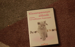 Kissanpennun elämä ohjeita turvalliseen kasvuun DVD