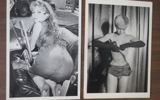 Bigitte Bardot 1954 ja 1956 kaksi valokuvakorttia