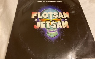 Flotsam And Jetsam - When the storm comes down (LP)