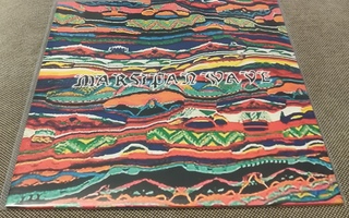 Eevil Stöö - Marsipan wave LP