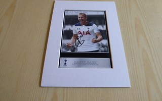 Uusi Harry Kane Tottenham Hotspur valokuva & paspis