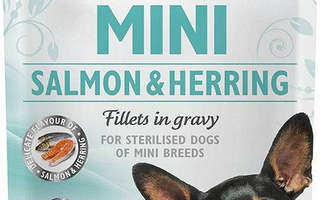 BRIT Care Mini Salmon&Herring steriloitu - Koiran märkäruo