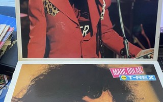 Marc Bolan & T.Trex: Futuristic Dragon ja Bolan's Zip Gun