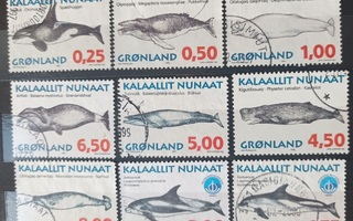 Grönlanti: valaita 1996-1998 o (n. 11.1 e)
