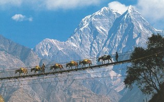 Riippusilta Annapurna Nepal