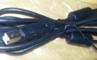 USB kaapeli 1.9 m (uros-uros, Type A - Type B)