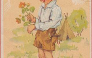 Marianne ( Trygg) Telegin Poika poimii niittykukkia