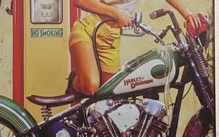 Kyltti Harley Davidson