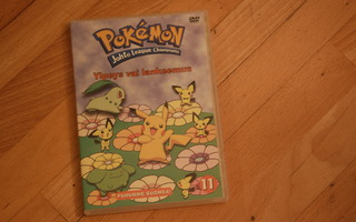Pokemon ylpeys vai lankeemus DVD