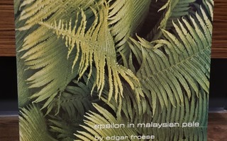 Edgar Froese - Epsilon In Malaysian Pale
