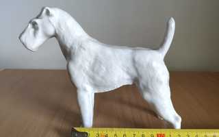 Posliini foxterrier