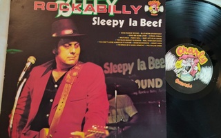 Sleepy LaBeef LP