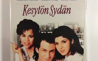 (SL) UUSI! DVD) Kesytön sydän (1993) Marisa Tomei