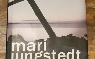 Mari Jungstedt - Aamun hämärissä