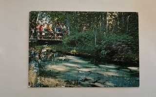 RUOVESI,  Runebergin lähde, kulkenut postikortti