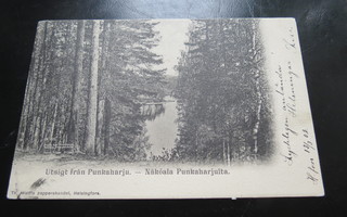 NÄKÖALA PUNKAHARJULTA 1902 KULKENUT KORTTI