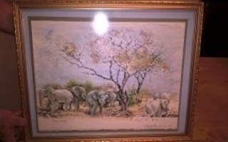 Hieno afrikkalainen norsutaulu, akvarelli, kehystetty, 1989