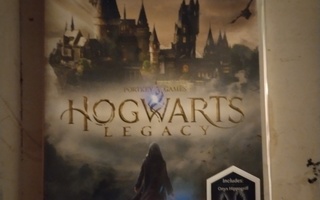Hogwarts legacy nintendo switchille