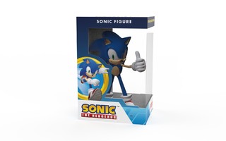 SONIC THE HEDGEHOG 16CM FIGURE	(13 004)	(non-articulated fig