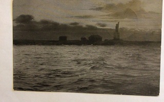 Gråhara kulkenut 1905