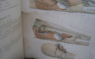 Acta societatis scientiarum Fennicae. Tomus XLL 1913