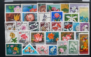 KUKKIA postimerkkejä 33 kpl