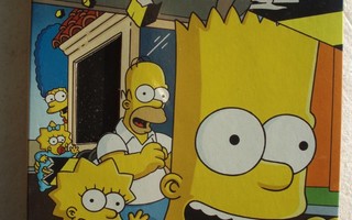 Simpsonit kausi 10, Collector's Edition (DVD)