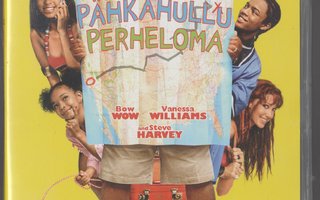 PÄHKÄHULLU PERHELOMA »JOHNSON FAMILY VACATION» [2004][DVD]