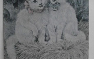 Kaksi kissaa, tiuku ja rusetti kaulassa, väripk, p. 1906