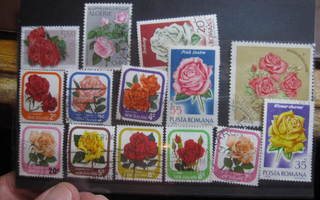 Ruusuja postimerkeillä 14 erinlaista