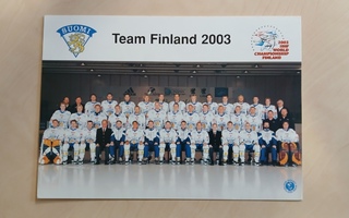 Kiekkoleijonien MM-joukkue 2003 iso kortti