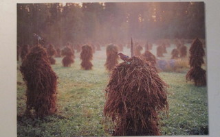 KULKEMATON NÄRHI KAURASEIPÄÄLLÄ  LUONTO-LIITTO