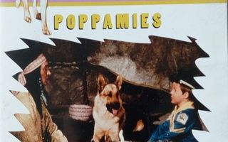 Rin Tin Tin Seikkailee :  Poppamies  -  DVD