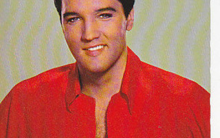 Elvis Presley laulaja filmitähti p189