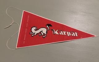 Kärpät-viiri