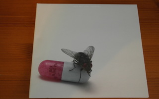 Red Hot Chili Peppers:I'm With You CD