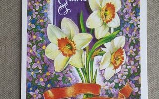 Narsissit, naistenpäivän kortti #1610#